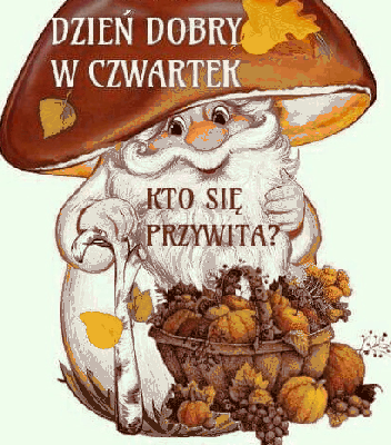 Grzybek wita w czwartek